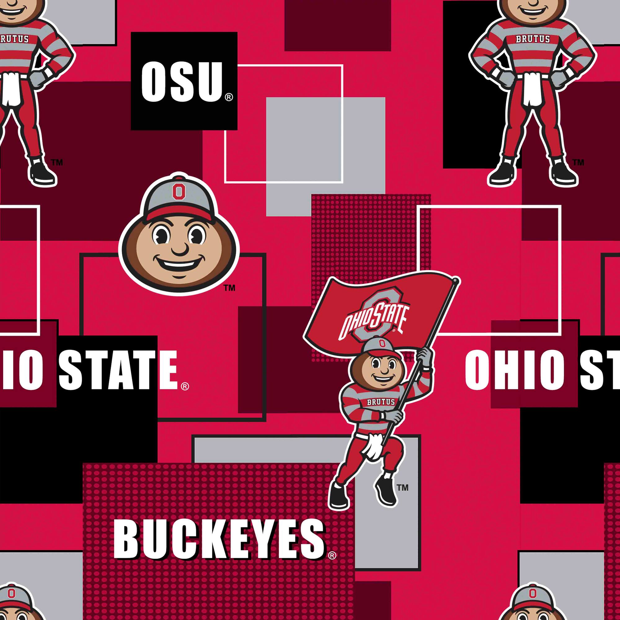NCAA Ohio State University Buckeyes Block Cotton Fabric